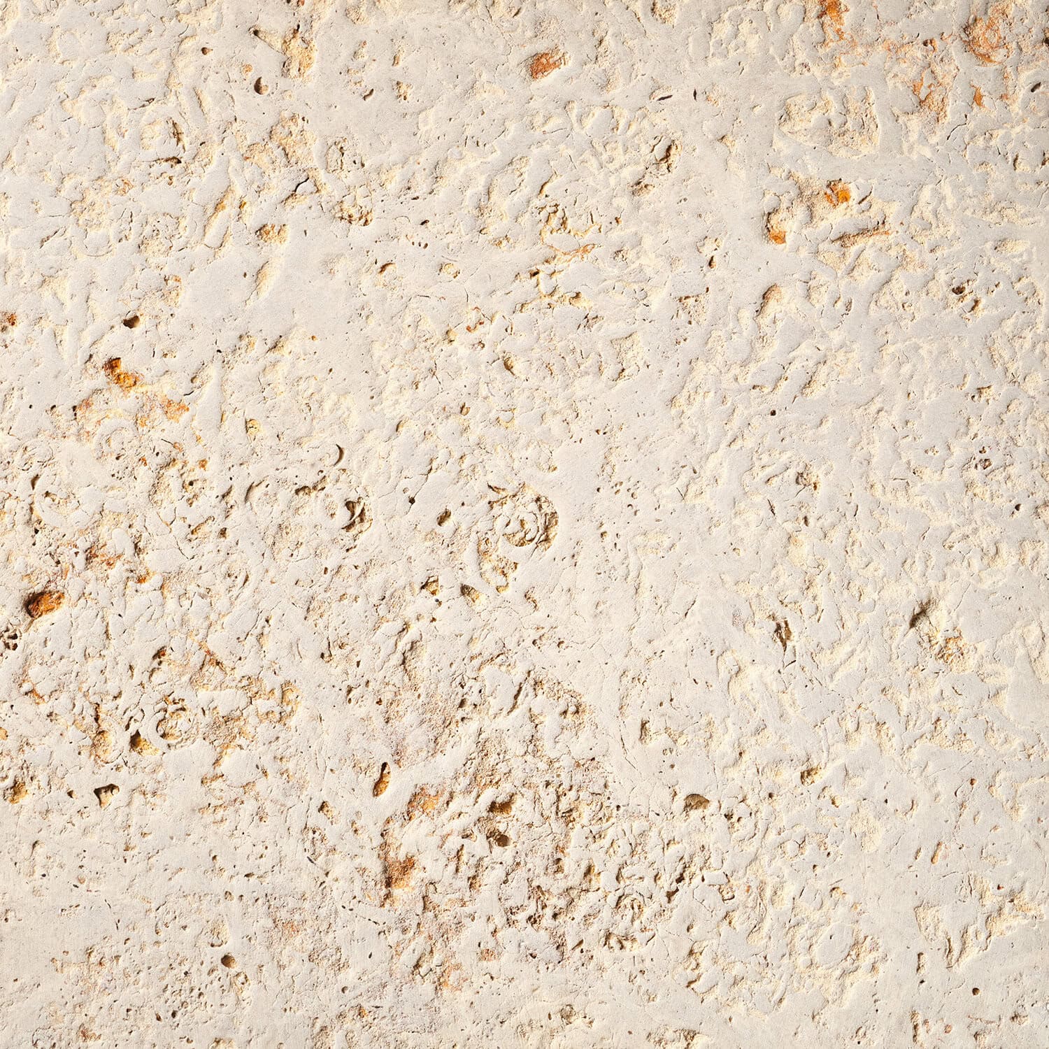 Riverrose Brushed 1 1T 166 2 - Biesanz Stone